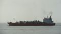 Pertusola - estuaire - 26 janvier 2013 (04).JPG
